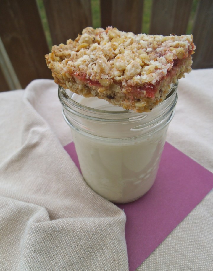 Strawberry Oat Bar