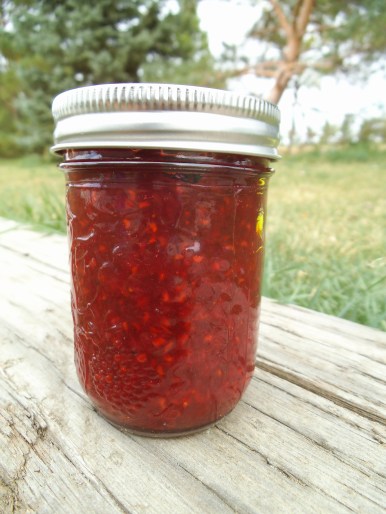 raspberry-rhubarb-jam