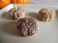 Pumpkin Coconut Bites {Paleo}