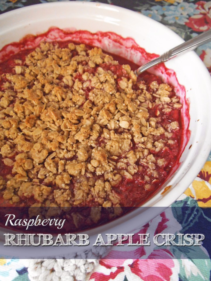 Raspberry Rhubarb Apple Crisp {gluten free} | Swirls and Spice