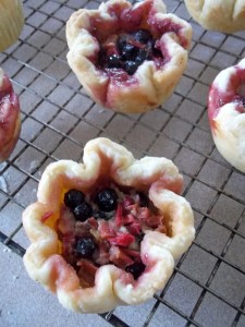 Butter Tarts with Berries and Rhubarb