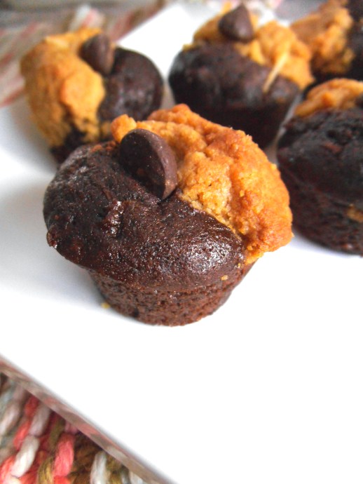 Peanut Butter Cookie & Brownie Bites