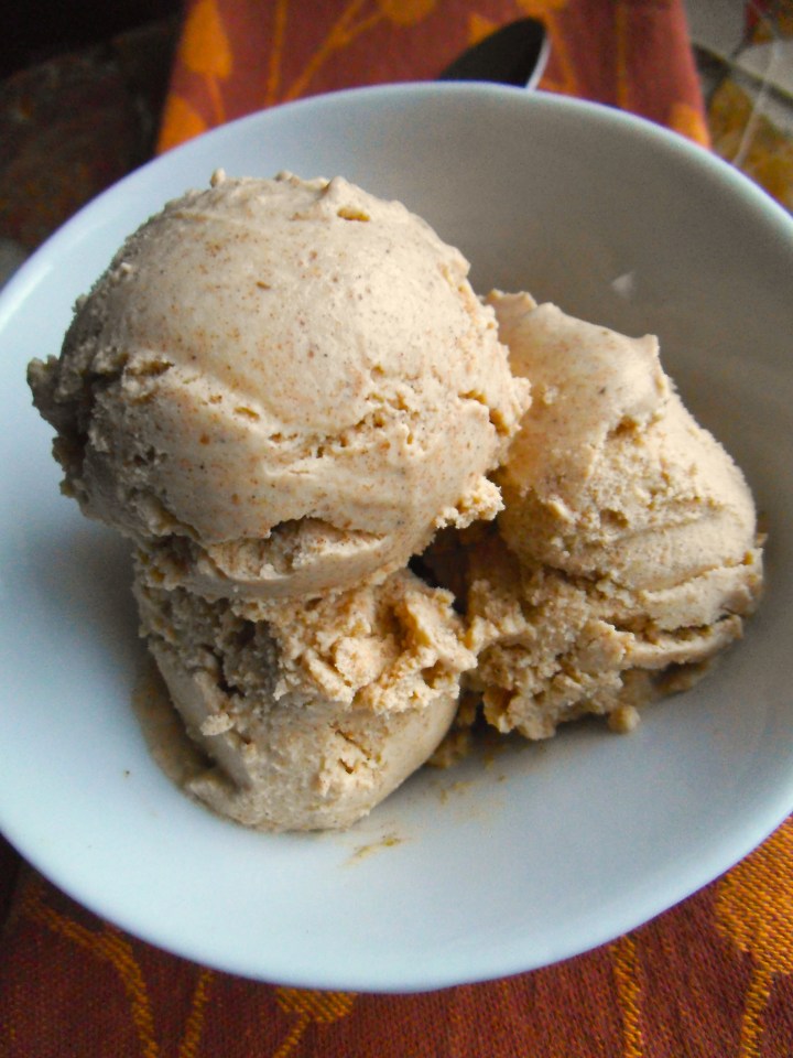 Pumpkin Spice Ice Cream {Paleo}