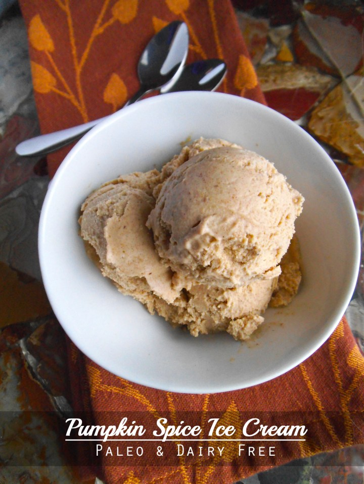 Pumpkin Spice Ice Cream | Swirls and Spice