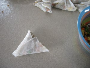 Gluten Free Lentil Samosas | Swirls and Spice