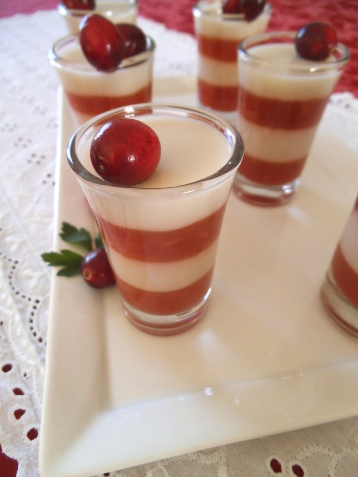 Cranberry Pineapple Panna Cotta Parfait Shots | Swirls and Spice