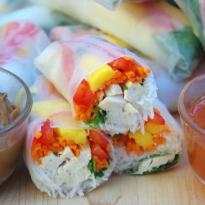 Vietnamese Chicken Salad Rolls | by Within the Kitchen