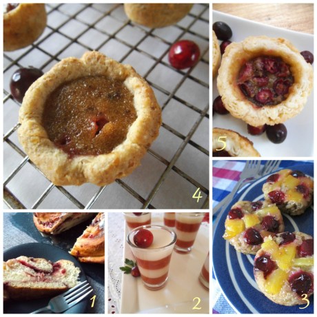 Celebrating Cranberries: 10 Sweet and Tangy Recipes |Swirls and Spice