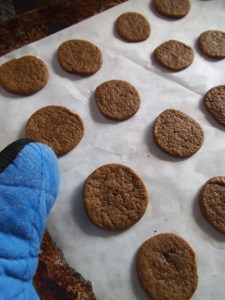 cookies-tray-mitt