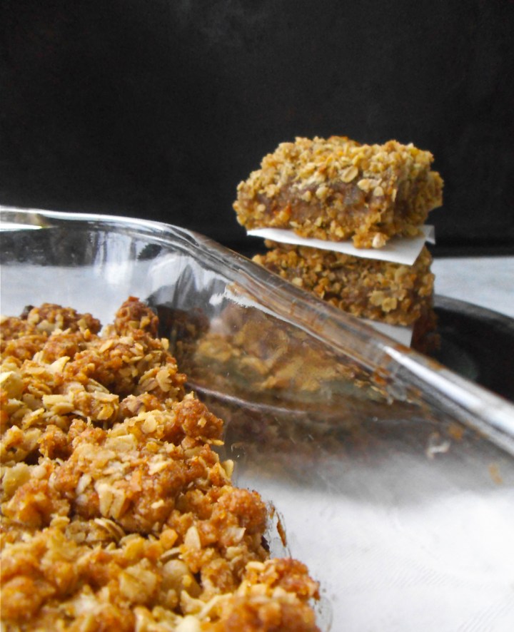 Flourless Cardamom Coconut Date Squares | Swirls and Spice