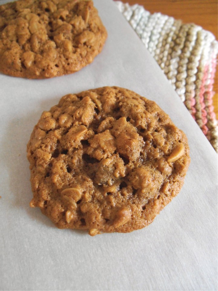 Apricot Oatmeal Cookies {Gluten Free} | Swirls and Spice