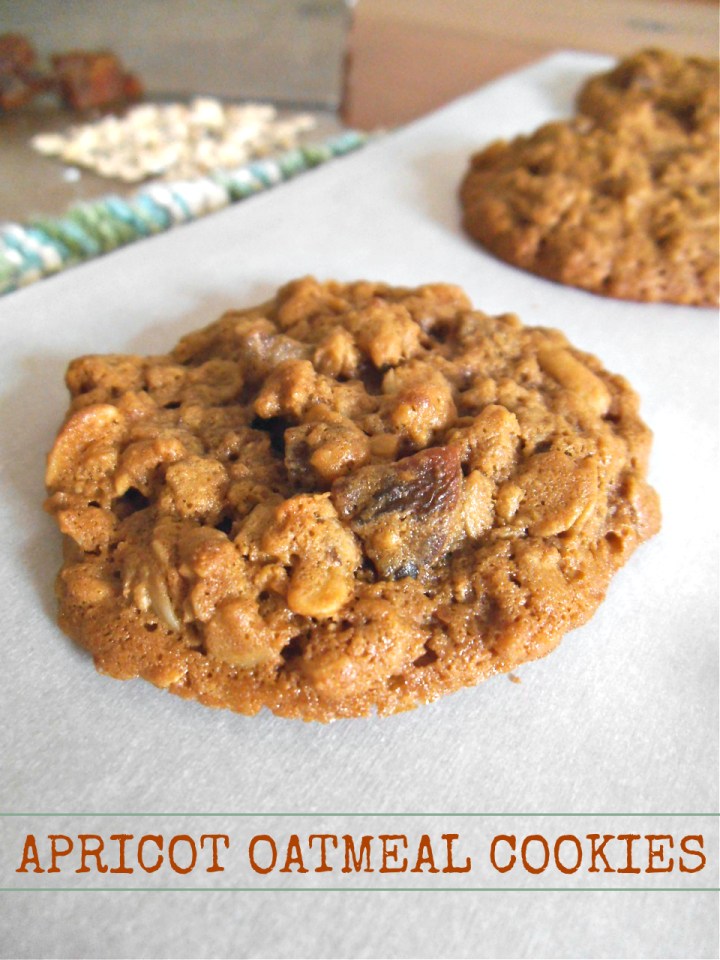 Apricot Oatmeal Cookies {Gluten Free} | Swirls and Spice