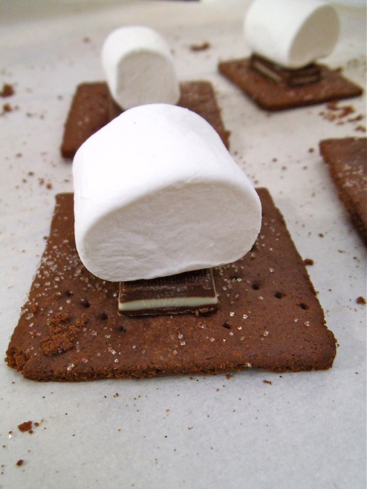 Gluten Free Chocolate Mint S'mores | Swirls and Spice
