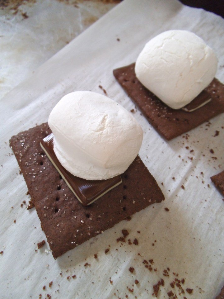 Gluten Free Chocolate Mint S'mores | Swirls and Spice